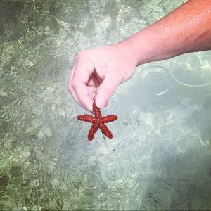 Meet your Posher, Jill